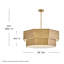 Hinkley Facet Convertible Chandelier-1811715934