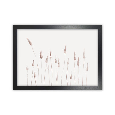 Botanicals II - Print