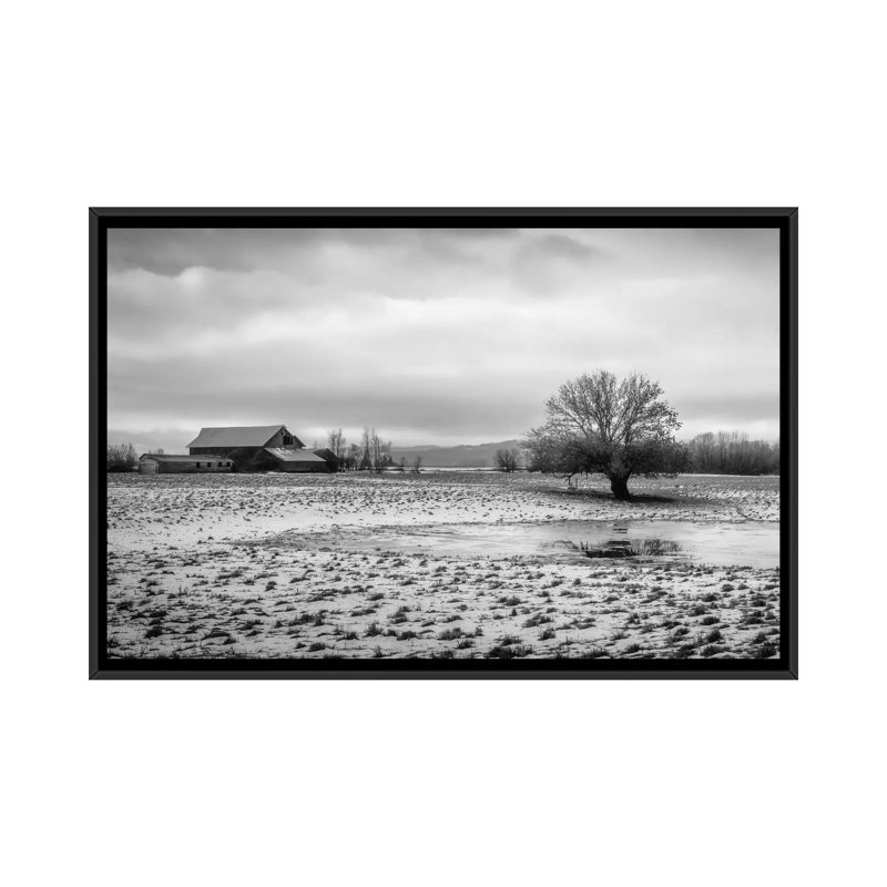 «In the Snowy Pasture», reproduction de photo sur toile, H 18 po x l 26 po x P 1,5 po, Toile encadrée noire