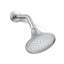 Forte® Wall-Mount Single-Function Showerhead with 66-Nozle 5.5 Inch Sprayface, 2.5 GPM-629864595