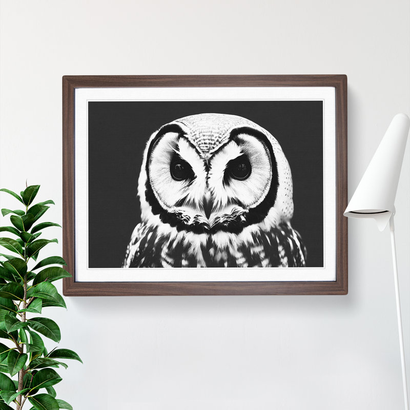 XH1022-6549X Owl Portrait Monochrome Vol.1 - Single Picture Frame Print, 25cm H x 34cm W, Brown
