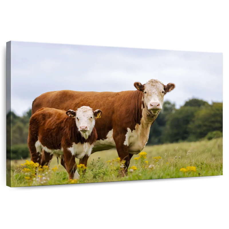 Veau et vache Brampt, H 20 po x l 30 po
