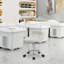 Hertzfeld Backed Adjustable Height Lab Stool-21158161
