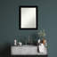 Jochelle Solid Wood Rectangle Wall Mirror-1560356163-1560356161