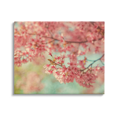 " Pink Cherry Blossoms " by Carrie Ann Grippo-Pike