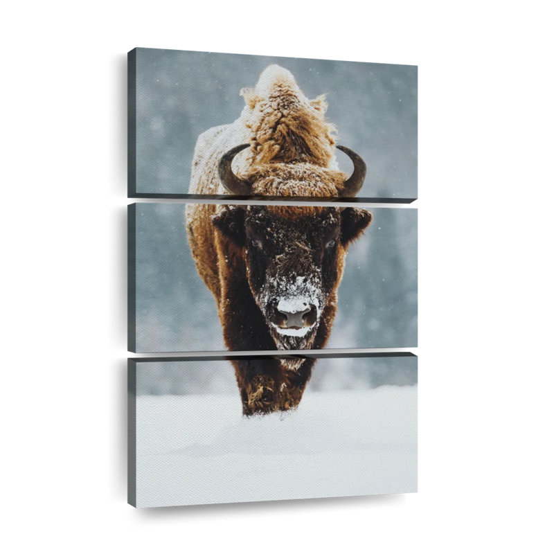 Winter Buffalo sur toile, ensemble de 3 pièces, H 38 po x l 24 po x P 1,25 po