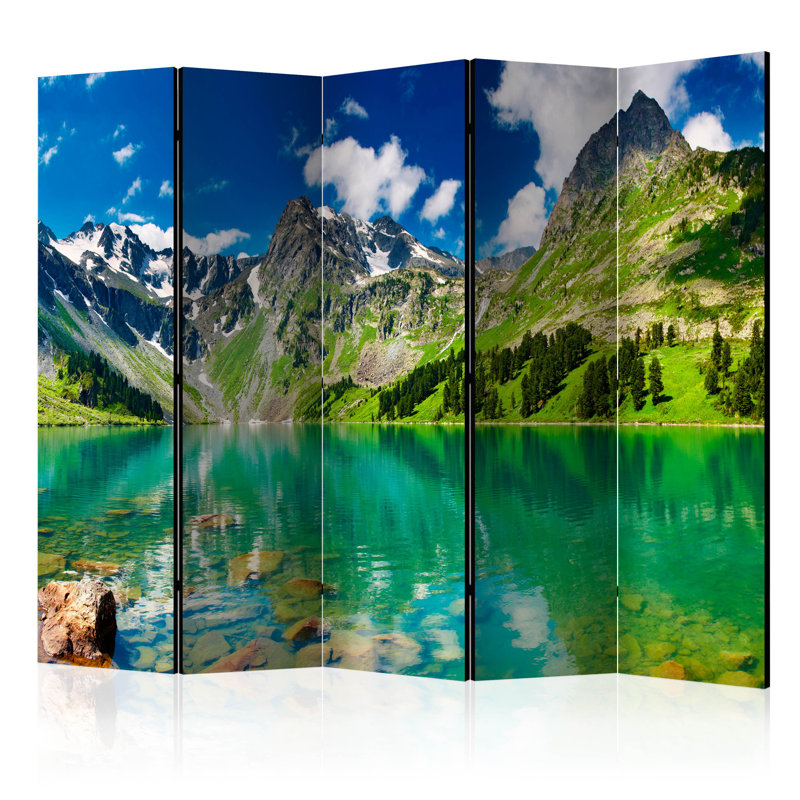 225 cm W x 172 cm H 5 - Panel Solid Wood Folding Room Divider