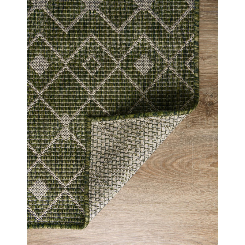 Tapis intérieur / extérieur vert / beige Adley Southwestern, Tapis de couloir 2 pi 7 po x 12 pi