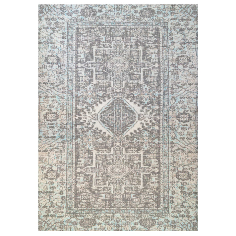 Aret Oriental Area Rug, Rectangle 67 x 110 cm