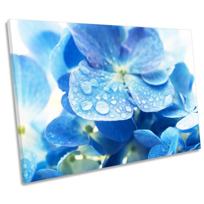 Blue Hortensia Flower Floral Framed - Wrapped Canvas Print