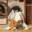 Tapis abstrait moderne et contemporain lavable à la machine Merrionette Halloween - reliure beige-1364845475
