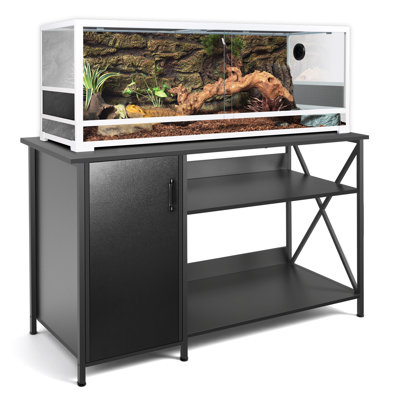 Reptile Starter Kit