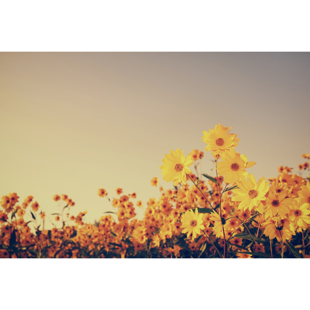 Vintage Blumen im Sonnenuntergang von Bgfoto - Ohne Rahmen auf Leinwand drucken