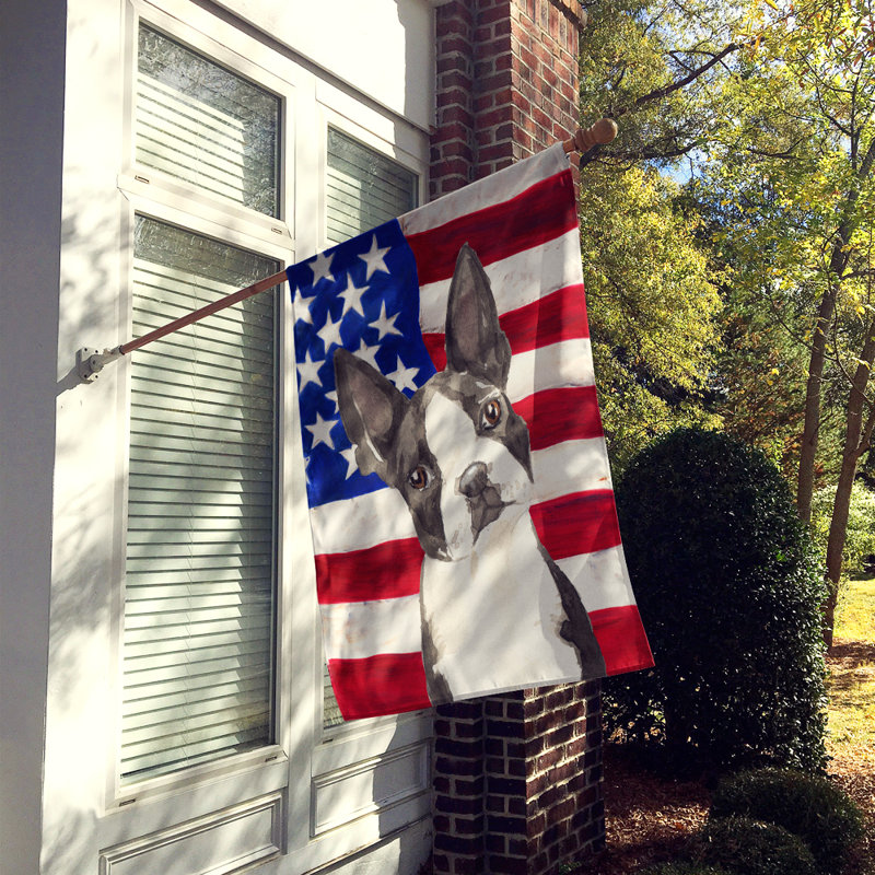 Drapeau de maison en polyester à 2 côtés Shahnur, Boston-terrier