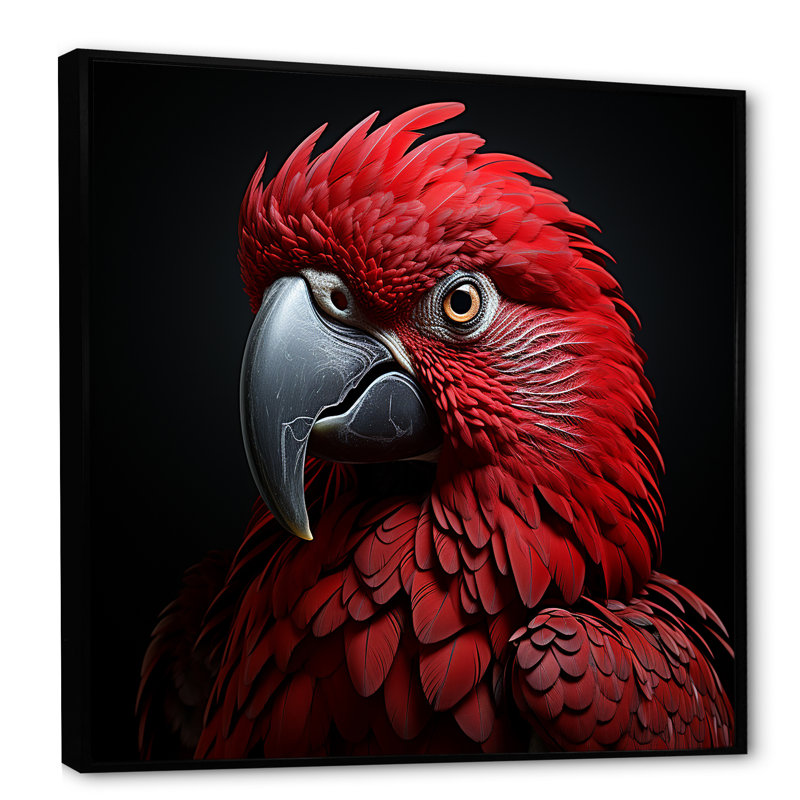 Crimson Elegance, perroquet tropical encadré sur toile, Cadre flottant noir, H 24 po x l 24 po
