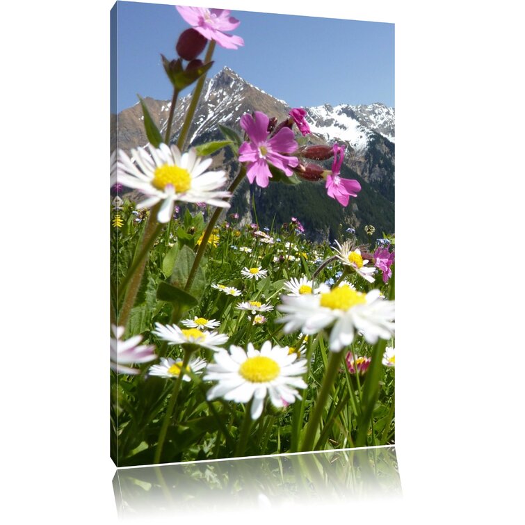 Leinwandbild Flowery Alpine Meadow