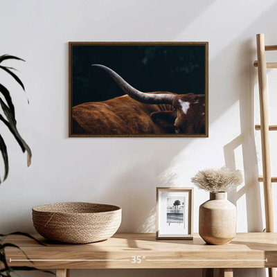 Cow Texas Longhorn
