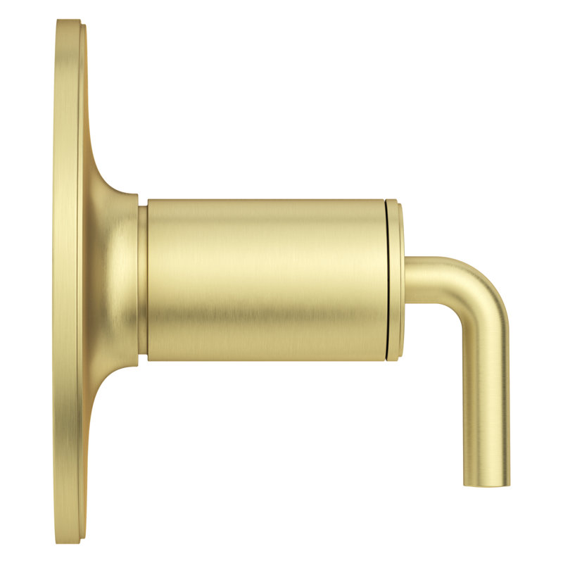 Tenet 1-Handle Tub And Shower Valve Only Trim, Brushed Gold