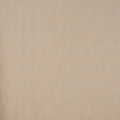 Allure Fabric