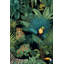 Papier peint tropical Jungle Flora-1010745296