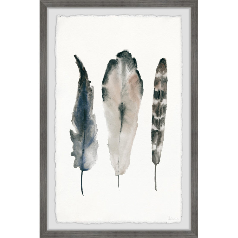 «Textured Feathers», reproduction encadrée, H 30 po x l 20 po x P 1,5 po