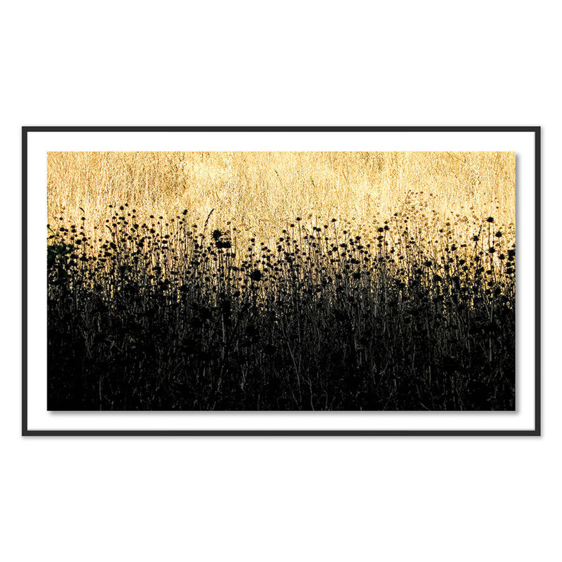 Field Of Dreams Print by Geoffrey Baris, Black, 43" H x 72" W x 2.5" D