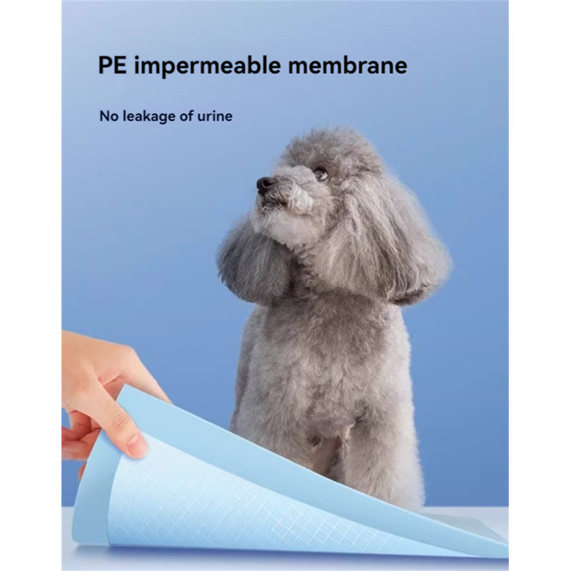 Lit orthopédique pour animaux en polyester