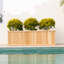 Barros Cedar Wood Raised Garden Bed Planter Box with Bottom Board, Drainage Holes and Liner-1945248150-1945248157