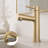 Single Hole Single Handle Bathroom Faucet-107439081