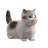 Sitting Cat Kitten Statue-Gray-116323228