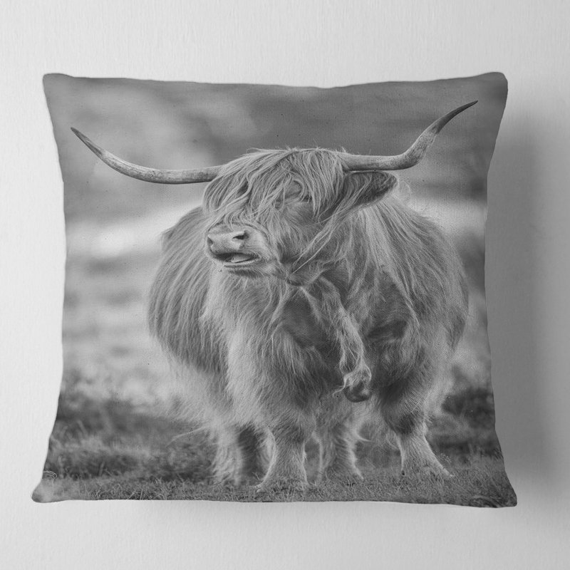 Gros plan sur un taureau - Coussin à imprimé campagnard, 16" x 16"