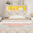 Twin Size Upholstered Bed with RGB LED Lights, Charging Station, Side Shelves & 2 Drawers-889488874-903883222