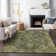 Machine Washable Indoor/Outdoor Arline ACN2165 Global Rug
