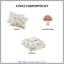 Whimsical Green Bedding Sets, Polyester Comforter With Mushroom And Floral Design, Perfect For Home Décor