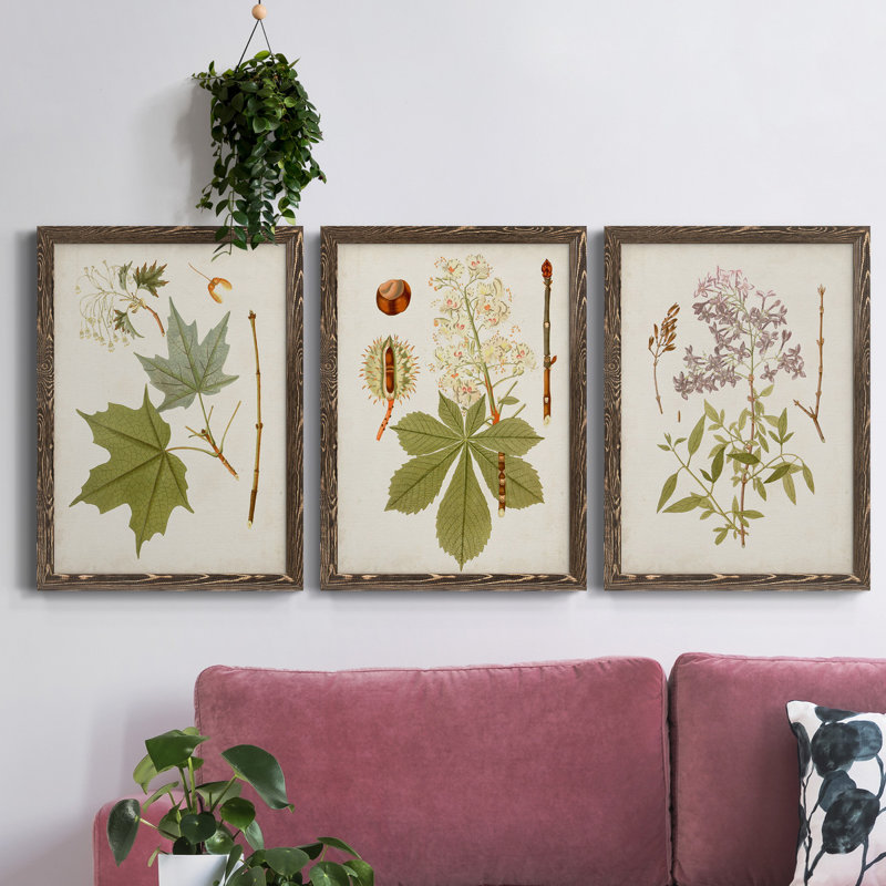 «Antique Leaves VII», ensemble de 3 peintures sur toile encadrées, Noyer, H 100 po x l 31,5 po x P 1 po