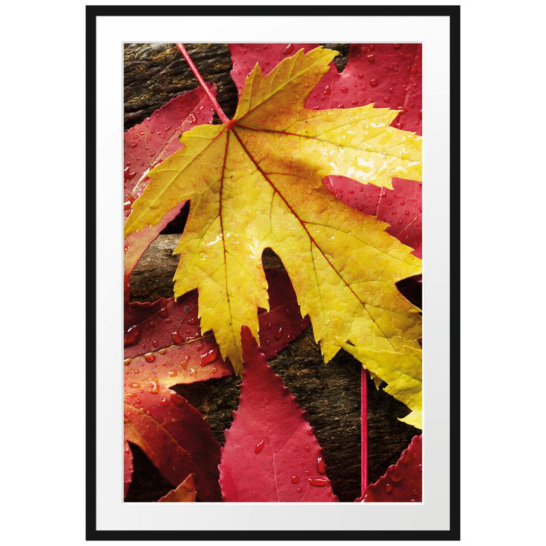 Gerahmtes Poster Bunte Herbstblätter