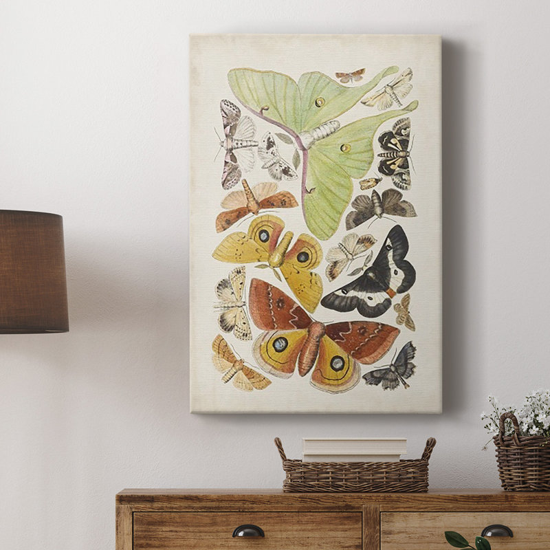 Antique Moths I " Antique Moths I ", 12" H x 8" W x 1" D