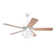 Kelsi 50'' Ceiling Fan with Light Kit