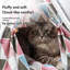 Lit pour animal de compagnie Georganna