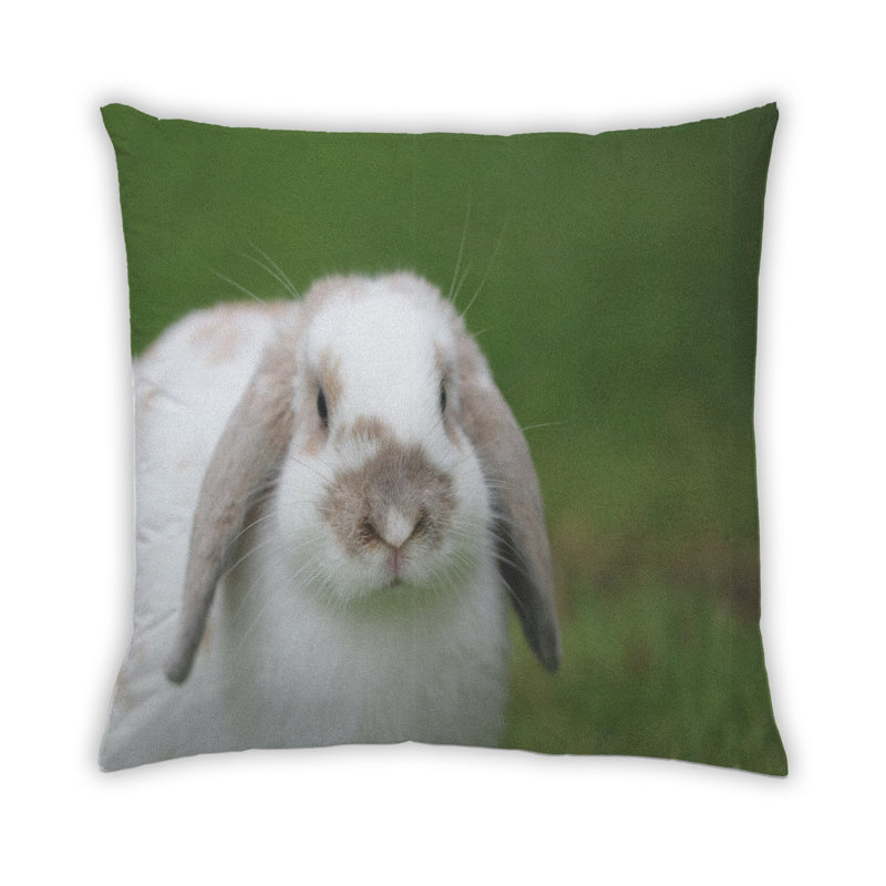 Throw Pillow, Synthetic