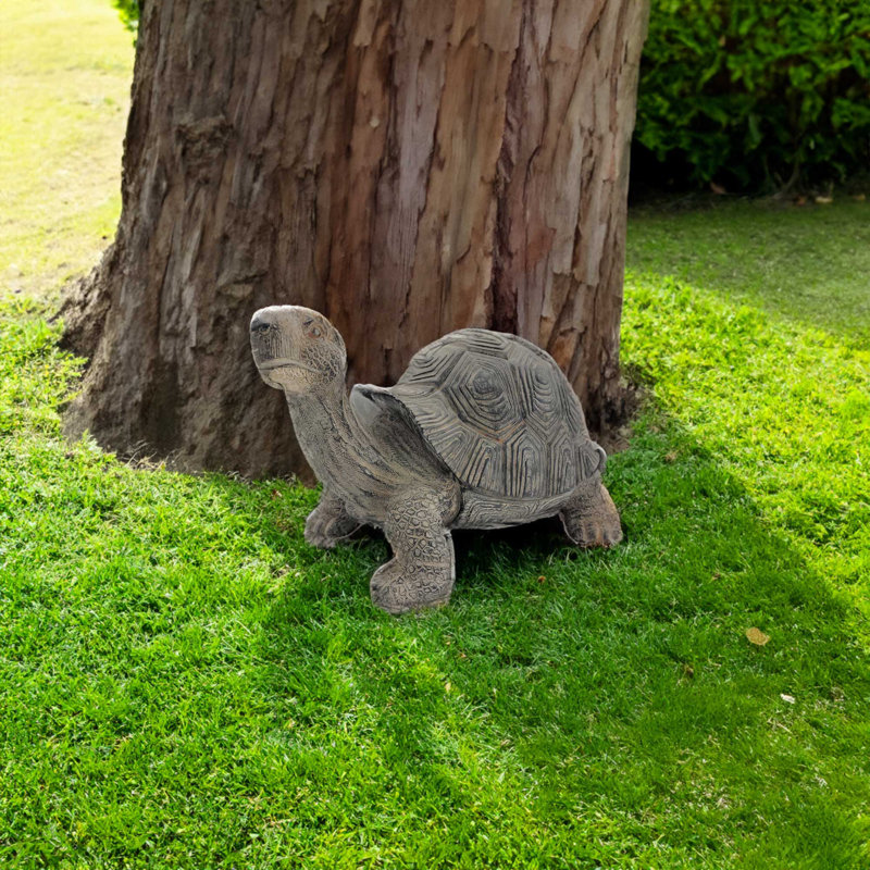 Statue de tortue intérieure Armagh