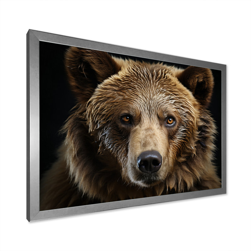 «Bear Portrait - Bear», reproduction d'art sur toile encadrée, H 34 po x l 44 po, Argent argent