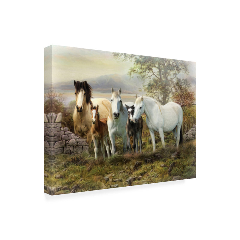Animaux, Connemara, Irlande, sur toile, H 19 po x l 14 po x P 2 po