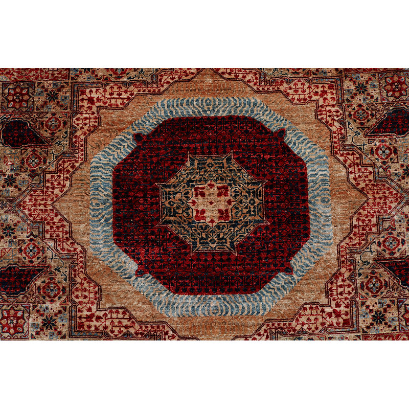 Aryana Wool Oriental Area Rug