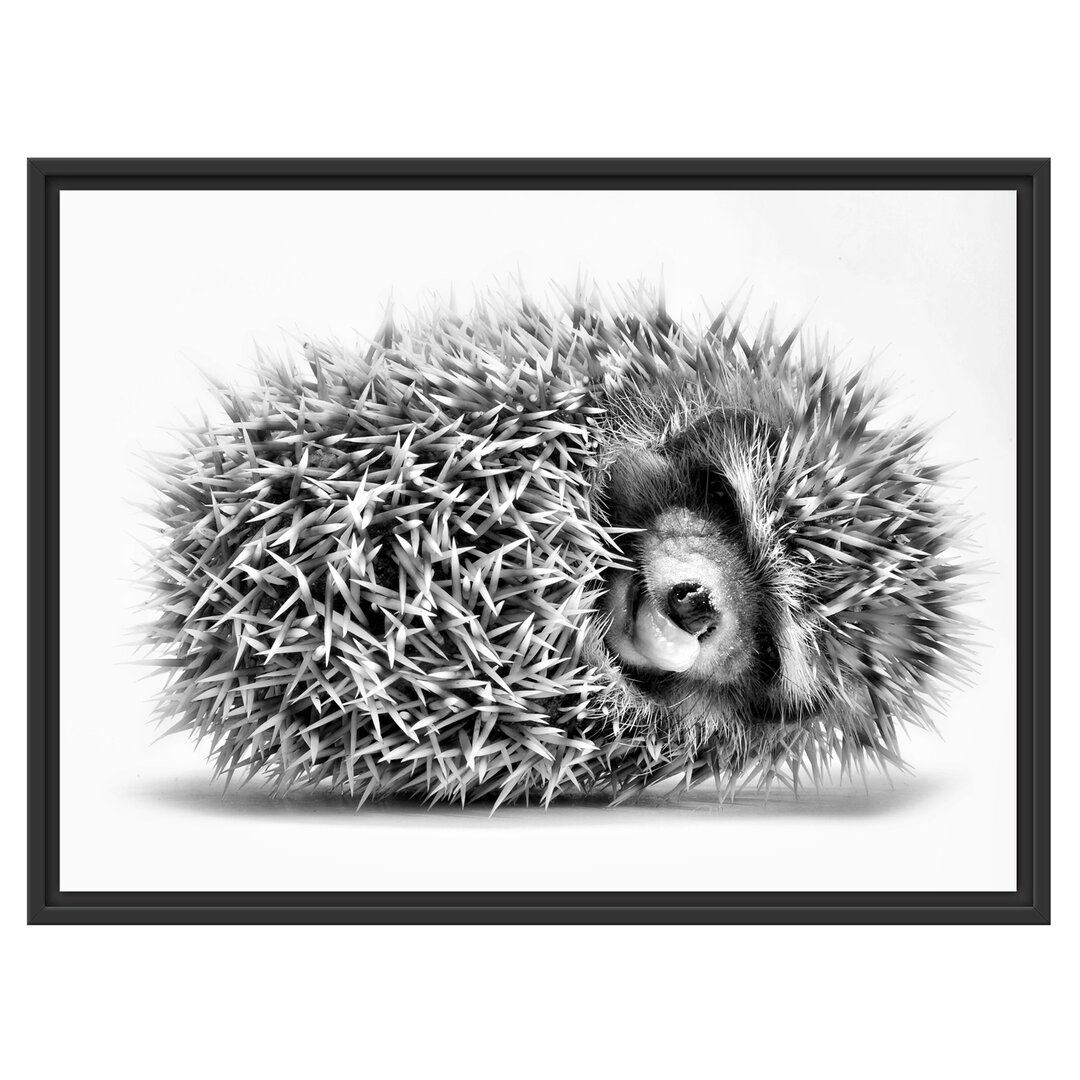 Gerahmtes Wandbild kleiner niedlicher Baby Igel