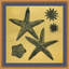Gold Leaf Starfish 9 Print
