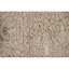 Area Rug in Beige
