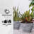 Nil   Pot Planter-680392643
