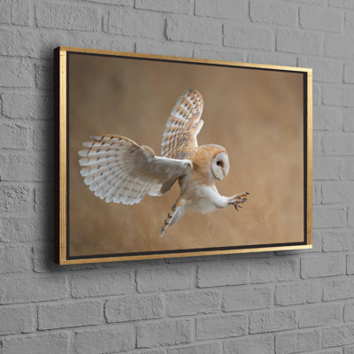 Personalized Barn Owl Before Attack Wildlife Art On Framed Canvas For A Unique Gift