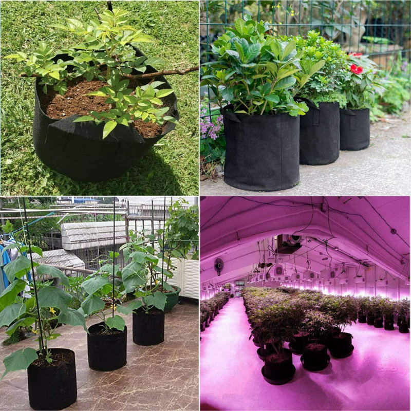 Paisynn Nursery Pot, 9.1" H x 10.2" W x 10.2" D